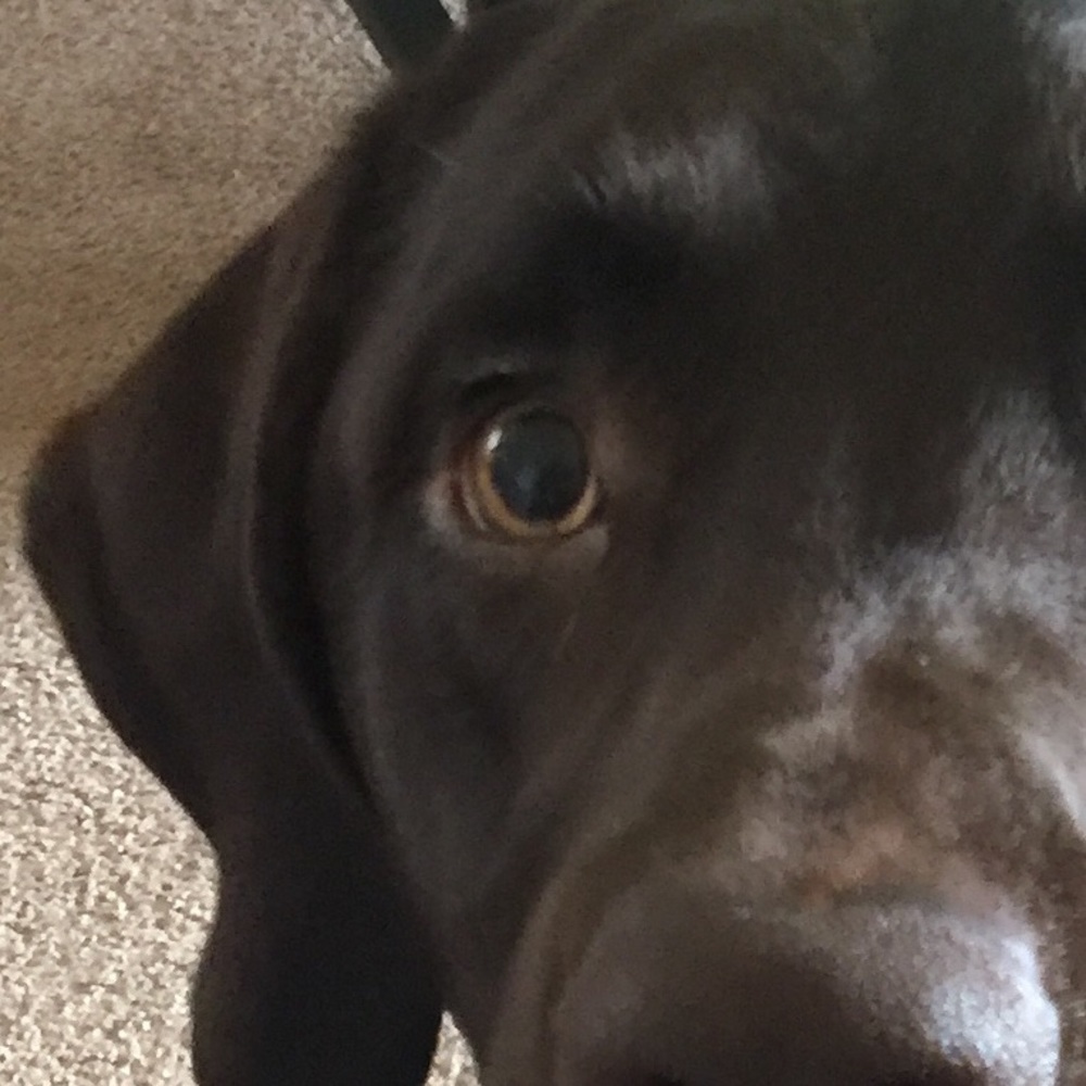 Meet your Posher, Brittany